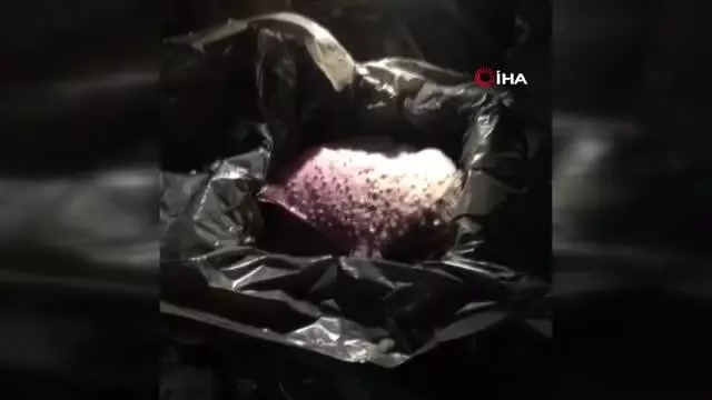 Beylikdüzü'nde yasak avlanma dönemi denetimi Beylikdüzü'nde yasak avlanma dönemi denetimi