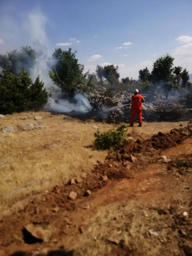 Son dakika haberi | Bingöl'de çıkan orman yangını büyümeden söndürüldü Son dakika haberi | Bingöl'de çıkan orman yangını büyümeden söndürüldü
