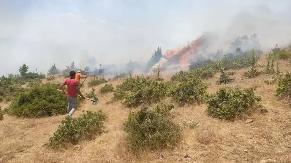 Bingöl'de orman yangını büyümeden söndürüldü Bingöl'de orman yangını büyümeden söndürüldü