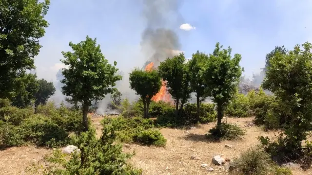 Son dakika 3. sayfa: Bingöl'de orman yangını büyümeden söndürüldü Son dakika 3. sayfa: Bingöl'de orman yangını büyümeden söndürüldü