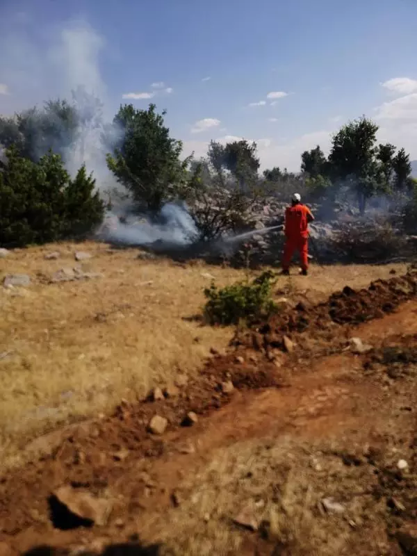 Bingöl'de orman yangını büyümeden söndürüldü Bingöl'de orman yangını büyümeden söndürüldü