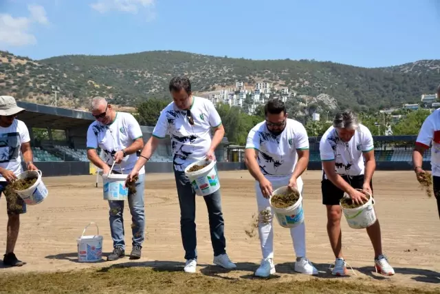 Bodrum İlçe Stadı'nın zemini doğal çim oluyor Bodrum İlçe Stadı'nın zemini doğal çim oluyor