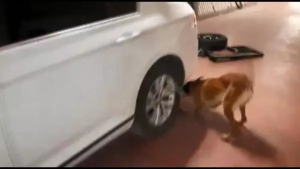 Bursa'da 16 kilo esrar ile 101 bin uyuşturucu hap ele geçirildi Bursa'da 16 kilo esrar ile 101 bin uyuşturucu hap ele geçirildi