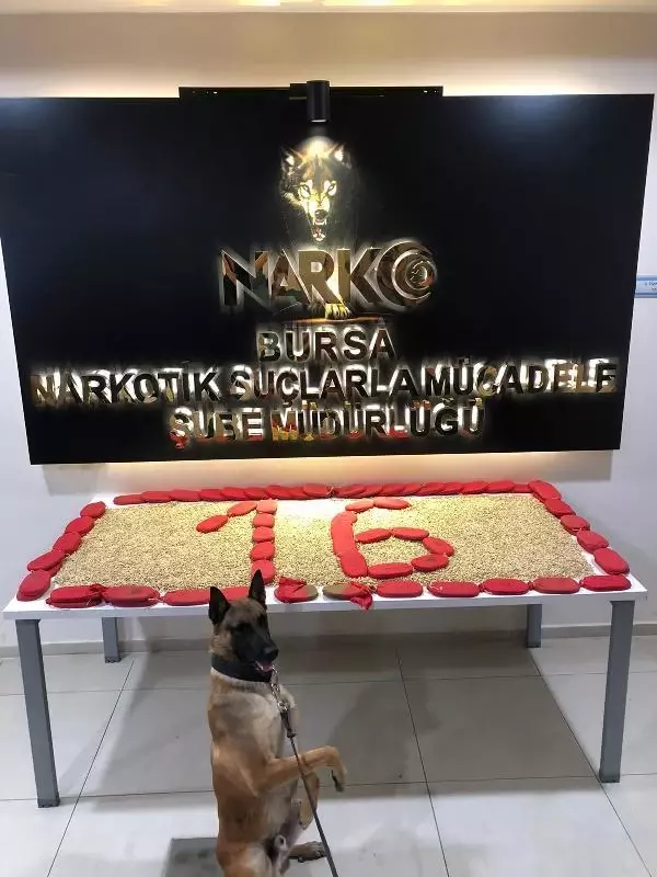 Bursa'da 16 kilo esrar ile 101 bin uyuşturucu hap ele geçirildi Bursa'da 16 kilo esrar ile 101 bin uyuşturucu hap ele geçirildi