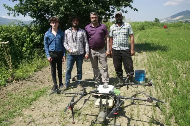 Çeltik tarlaları drone ile ilaçlanıyor Çeltik tarlaları drone ile ilaçlanıyor