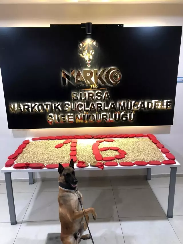 Son dakika: Bursa'da uyuşturucu operasyonundan tutuklanan 7 kişinin ardından 6 kişi daha gözaltına alındı Son dakika: Bursa'da uyuşturucu operasyonundan tutuklanan 7 kişinin ardından 6 kişi daha gözaltına alındı