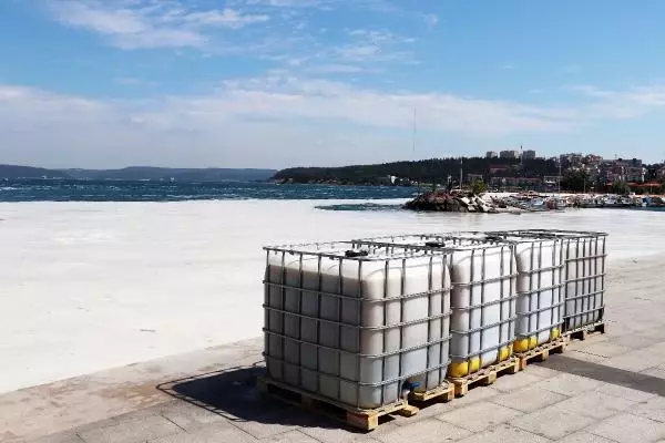 ÇANAKKALE BOĞAZI'NDA 3 GÜNDE 37 METREKÜP MÜSİLAJ TOPLANDI ÇANAKKALE BOĞAZI'NDA 3 GÜNDE 37 METREKÜP MÜSİLAJ TOPLANDI