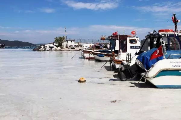 ÇANAKKALE BOĞAZI'NDA 3 GÜNDE 37 METREKÜP MÜSİLAJ TOPLANDI ÇANAKKALE BOĞAZI'NDA 3 GÜNDE 37 METREKÜP MÜSİLAJ TOPLANDI