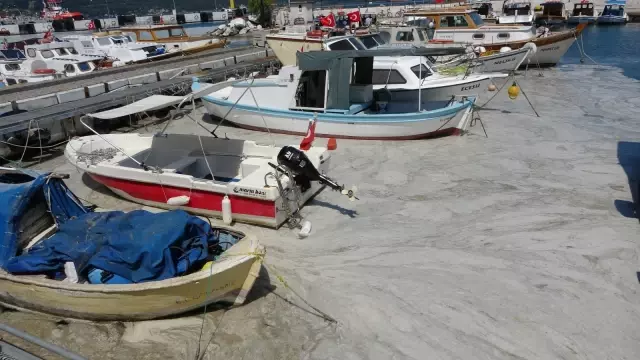 Çanakkale Boğazı'nda müsilaj temizliği 4'üncü gününde de devam ediyor Çanakkale Boğazı'nda müsilaj temizliği 4'üncü gününde de devam ediyor