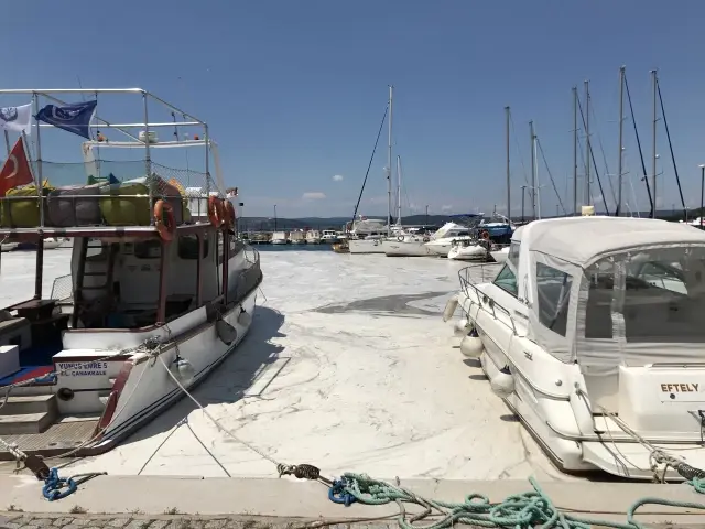 Çanakkale Boğazı'nda müsilaj yoğunluğu sürüyor Çanakkale Boğazı'nda müsilaj yoğunluğu sürüyor