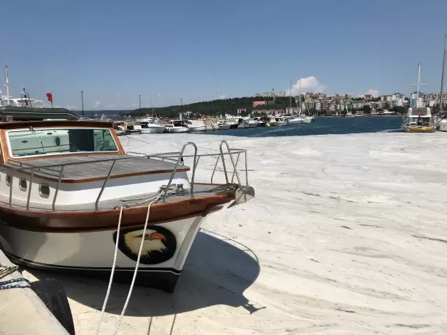 Çanakkale Boğazı'nda müsilaj yoğunluğu sürüyor Çanakkale Boğazı'nda müsilaj yoğunluğu sürüyor