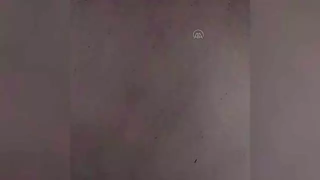 Çatı oluğunda ipe dolanan kırlangıç ve kuyuya düşen tilki yavrusu kurtarıldı Çatı oluğunda ipe dolanan kırlangıç ve kuyuya düşen tilki yavrusu kurtarıldı