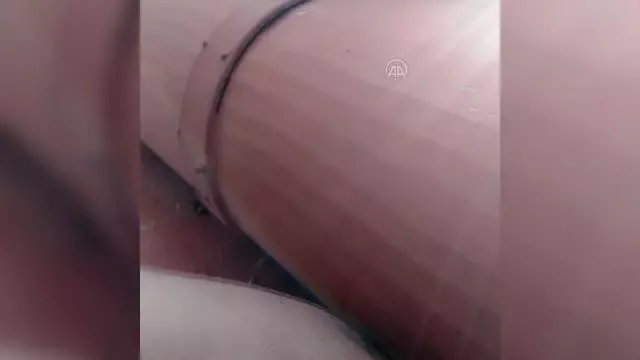 Çatı oluğunda ipe dolanan kırlangıç ve kuyuya düşen tilki yavrusu kurtarıldı Çatı oluğunda ipe dolanan kırlangıç ve kuyuya düşen tilki yavrusu kurtarıldı