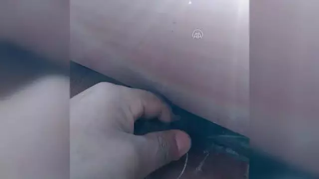 Çatı oluğunda ipe dolanan kırlangıç ve kuyuya düşen tilki yavrusu kurtarıldı Çatı oluğunda ipe dolanan kırlangıç ve kuyuya düşen tilki yavrusu kurtarıldı