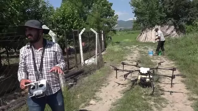 Çeltik tarlaları drone ile ilaçlanıyor Çeltik tarlaları drone ile ilaçlanıyor