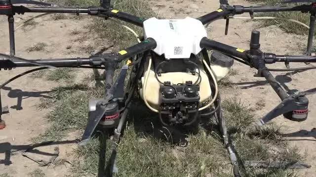 Çeltik tarlaları drone ile ilaçlanıyor Çeltik tarlaları drone ile ilaçlanıyor