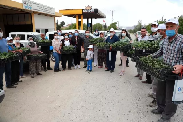 Çiftçilere organik tarım eğitimi verildi, çilek ve adaçayı fidesi dağıtıldı Çiftçilere organik tarım eğitimi verildi, çilek ve adaçayı fidesi dağıtıldı