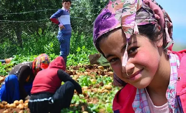 Çocuk işçilerin sayısı son 4 yılda 8,4 milyon artarak 160 milyona yükseldi Çocuk işçilerin sayısı son 4 yılda 8,4 milyon artarak 160 milyona yükseldi