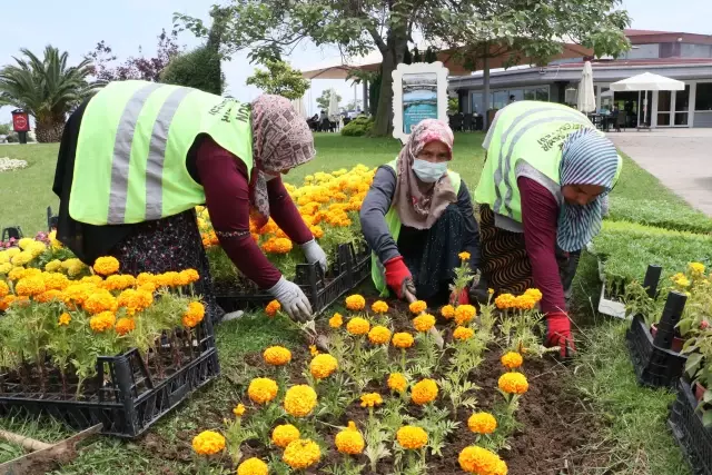 Çöpten elde edilen enerjiyle ısıtılan serada yetiştirilen çiçekler şehri süslemeye başladı Çöpten elde edilen enerjiyle ısıtılan serada yetiştirilen çiçekler şehri süslemeye başladı