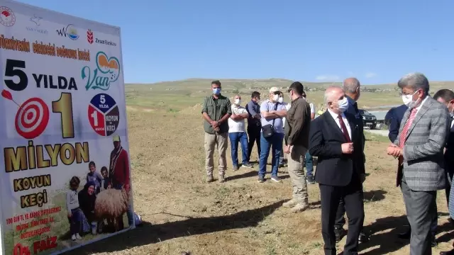 Devlet teşvikleriyle pandemi döneminde hayvancılığa ilgi arttı Devlet teşvikleriyle pandemi döneminde hayvancılığa ilgi arttı