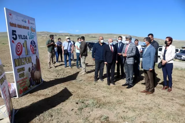 Devlet teşvikleriyle pandemi döneminde hayvancılığa ilgi arttı Devlet teşvikleriyle pandemi döneminde hayvancılığa ilgi arttı