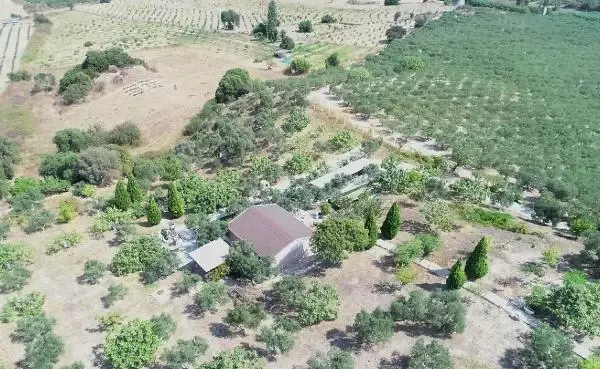 Son dakika: DİDİM'DE BAŞKANIN CİNSEL SALDIRI SORUŞTURMASINDA YENİ KARAR Son dakika: DİDİM'DE BAŞKANIN CİNSEL SALDIRI SORUŞTURMASINDA YENİ KARAR