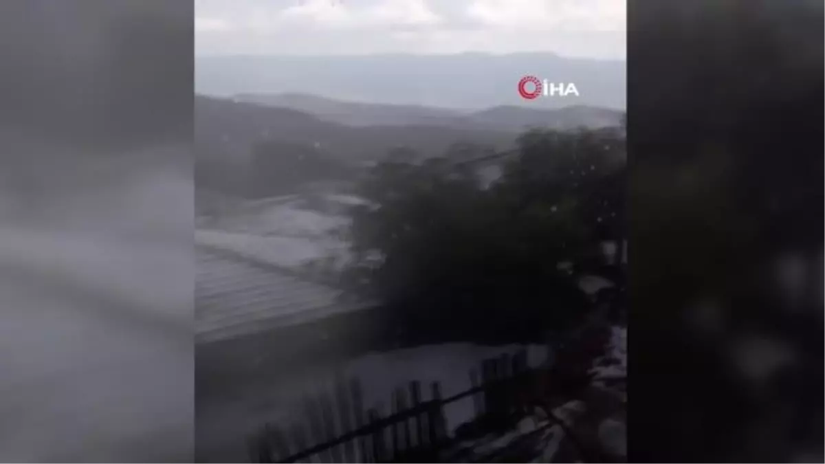 Dolu yağışı tarım arazilerine zarar verdi