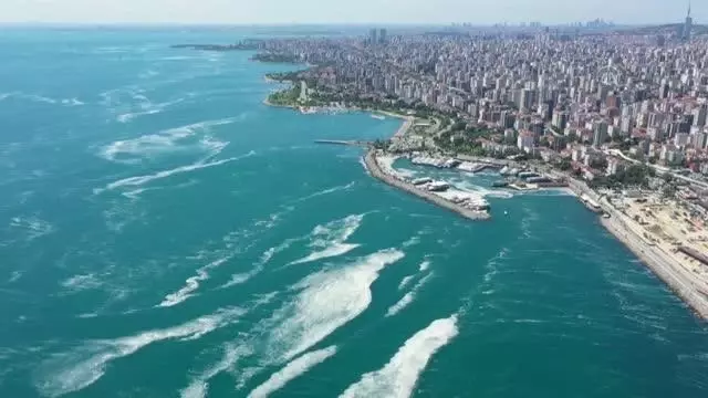 (DRONE) Müsilaj temizleme çalışmaları devam ediyor (DRONE) Müsilaj temizleme çalışmaları devam ediyor