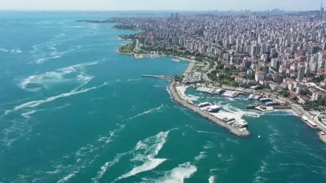 (DRONE) Müsilaj temizleme çalışmaları devam ediyor (DRONE) Müsilaj temizleme çalışmaları devam ediyor