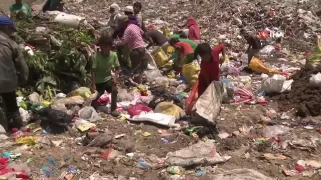 Son dakika haberi: Dünya genelinde çocuk işçi sayısı son 4 yılda 8.4 milyon artış gösterdi Son dakika haberi: Dünya genelinde çocuk işçi sayısı son 4 yılda 8.4 milyon artış gösterdi