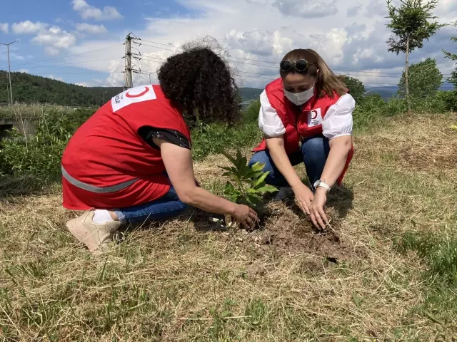 Kızılayın kuruluşunun 153. yılı anısına hatıra ormanı oluşturuldu Kızılayın kuruluşunun 153. yılı anısına hatıra ormanı oluşturuldu