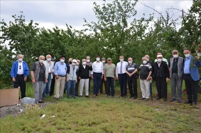 Edirne'de huzurevi sakinleri kiraz hasadına katıldı Edirne'de huzurevi sakinleri kiraz hasadına katıldı