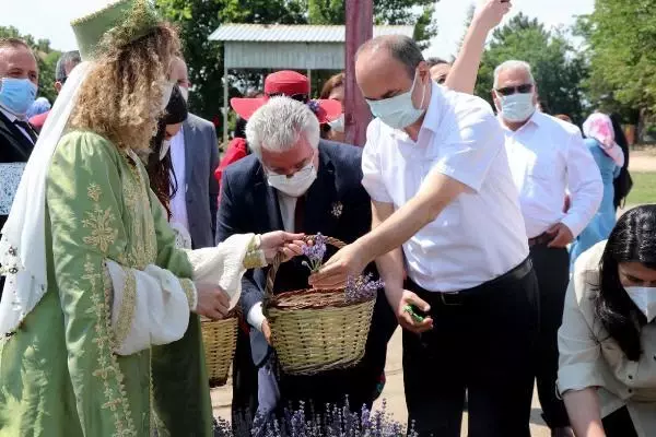 EDİRNE'DE 'LAVANTA TARLA GÜNLERİ' İLE MOR BAHÇELER ŞENLENDİ EDİRNE'DE 'LAVANTA TARLA GÜNLERİ' İLE MOR BAHÇELER ŞENLENDİ