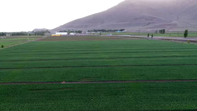 Ağrı toprakları suyla buluşuyor Ağrı toprakları suyla buluşuyor
