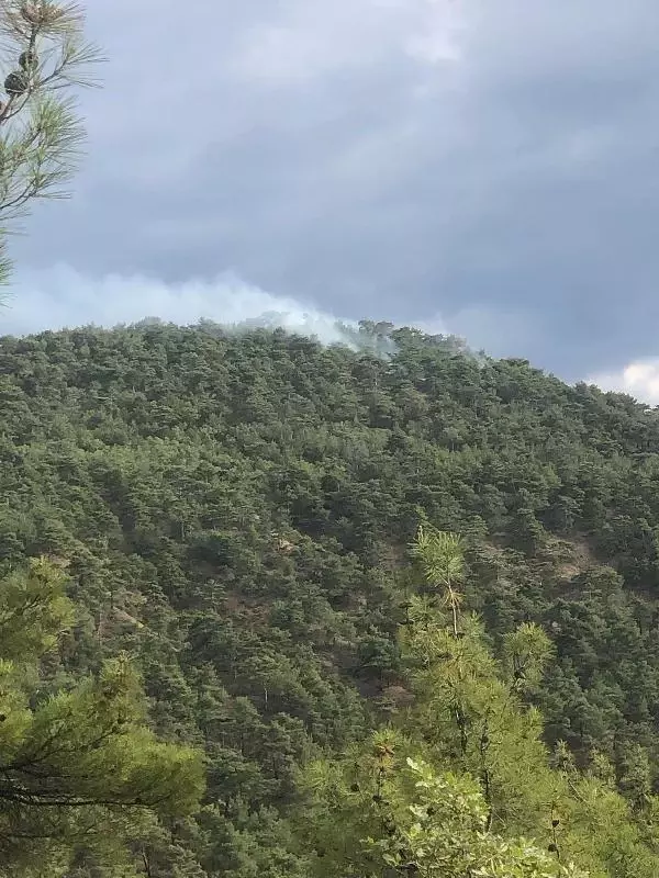 Son dakika haberi: Eskişehir'de 2 noktada çıkan orman yangınları erken müdahaleyle söndürüldü Son dakika haberi: Eskişehir'de 2 noktada çıkan orman yangınları erken müdahaleyle söndürüldü