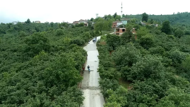 Fatsa'da beton yol çalışmaları sürüyor Fatsa'da beton yol çalışmaları sürüyor