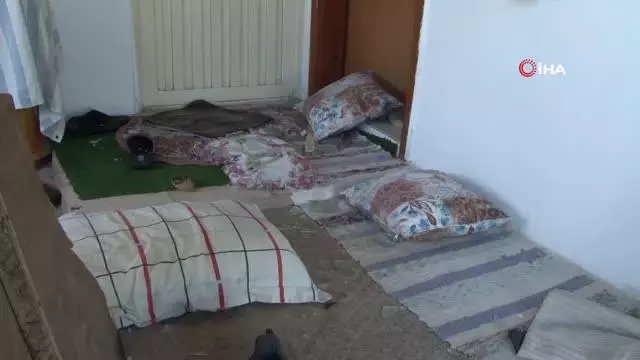 Gasp dehşetini yaşayan yaşlı adam korku dolu anları anlattı: 'Bahçeye girip ellerimi öptü, korktum ama elinde bıçak yoktu' Gasp dehşetini yaşayan yaşlı adam korku dolu anları anlattı: 'Bahçeye girip ellerimi öptü, korktum ama elinde bıçak yoktu'
