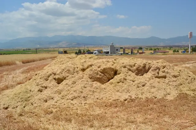 Gaziantep'te saman satışları sürüyor Gaziantep'te saman satışları sürüyor