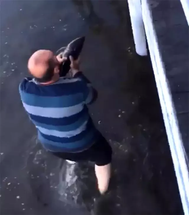 Gölde bulduğu yavru yunus bağlığını 200 metre koşarak denize bıraktı Gölde bulduğu yavru yunus bağlığını 200 metre koşarak denize bıraktı
