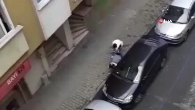Hamile karısını sokak ortasında dövdü Hamile karısını sokak ortasında dövdü