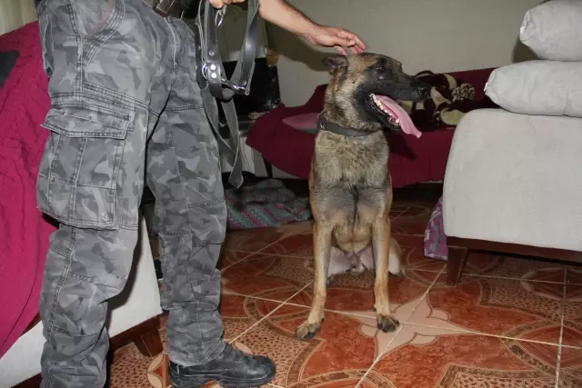 Son dakika haberi | Hatay'da uyuşturucu operasyonunda 9 şüpheli yakalandı Son dakika haberi | Hatay'da uyuşturucu operasyonunda 9 şüpheli yakalandı