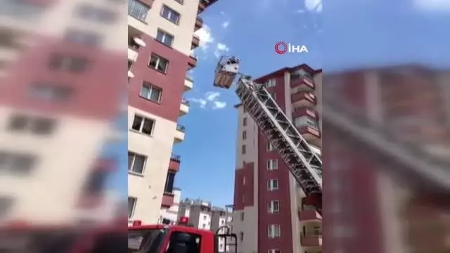Son dakika haberleri: İplere dolanan kırlangıç itfaiye ekipleri tarafından kurtarıldı Son dakika haberleri: İplere dolanan kırlangıç itfaiye ekipleri tarafından kurtarıldı