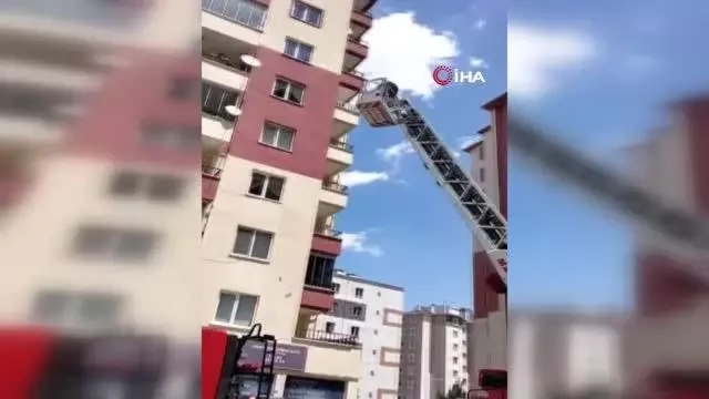 Son dakika haberleri: İplere dolanan kırlangıç itfaiye ekipleri tarafından kurtarıldı Son dakika haberleri: İplere dolanan kırlangıç itfaiye ekipleri tarafından kurtarıldı