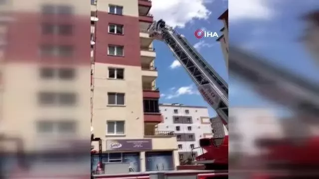 Son dakika haberleri: İplere dolanan kırlangıç itfaiye ekipleri tarafından kurtarıldı Son dakika haberleri: İplere dolanan kırlangıç itfaiye ekipleri tarafından kurtarıldı