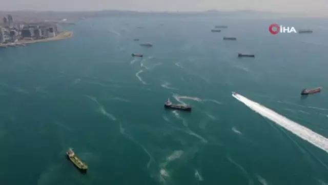 İstanbul sahillerinde kilometrelerce müsilaj hattı oluştu İstanbul sahillerinde kilometrelerce müsilaj hattı oluştu