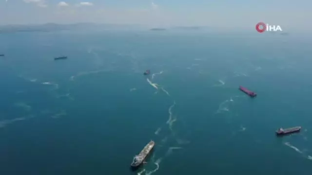 İstanbul sahillerinde kilometrelerce müsilaj hattı oluştu İstanbul sahillerinde kilometrelerce müsilaj hattı oluştu