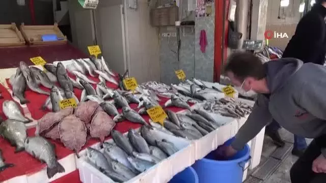 İstavrit, mezgit ve barbun tezgahlardaki yerini aldı İstavrit, mezgit ve barbun tezgahlardaki yerini aldı