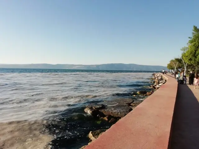 İzmit Körfezi'nde müsilaj temizleme çalışmaları sürüyor İzmit Körfezi'nde müsilaj temizleme çalışmaları sürüyor