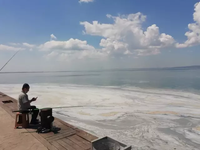 İzmit Körfezi'nde müsilaj temizleme çalışmaları sürüyor İzmit Körfezi'nde müsilaj temizleme çalışmaları sürüyor