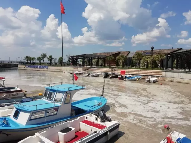 İzmit Körfezi'nde müsilaj temizleme çalışmaları sürüyor İzmit Körfezi'nde müsilaj temizleme çalışmaları sürüyor